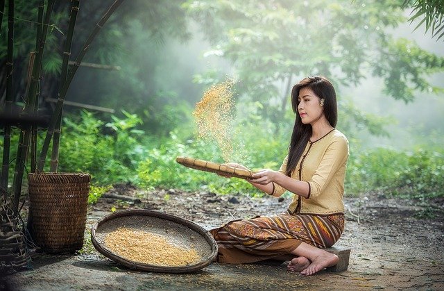žena s rýží